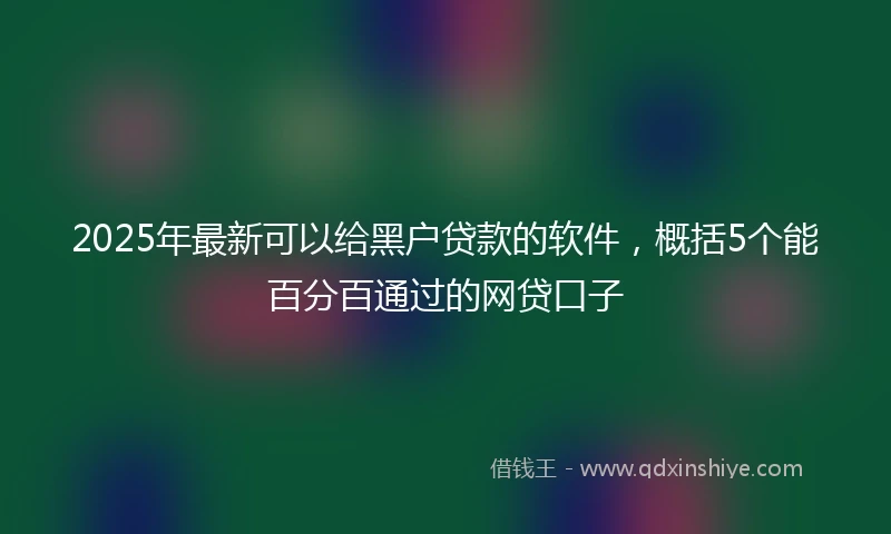 2025年最新可以给黑户贷款的软件，概括5个能百分百通过的网贷口子