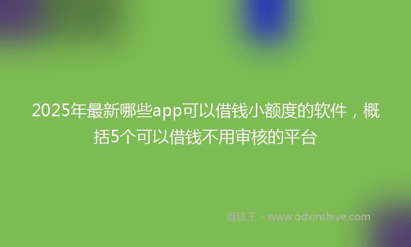 2025年最新哪些app可以借钱小额度的软件，概括5个可以借钱不用审核的平台