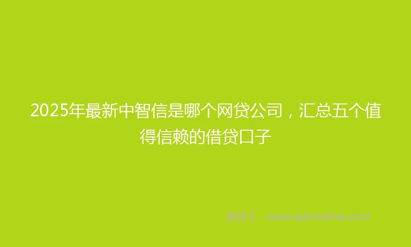 2025年最新中智信是哪个网贷公司，汇总五个值得信赖的借贷口子