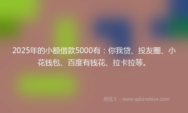 2025年的小额借款5000有：你我贷、投友圈、小花钱包、百度有钱花、拉卡拉等。