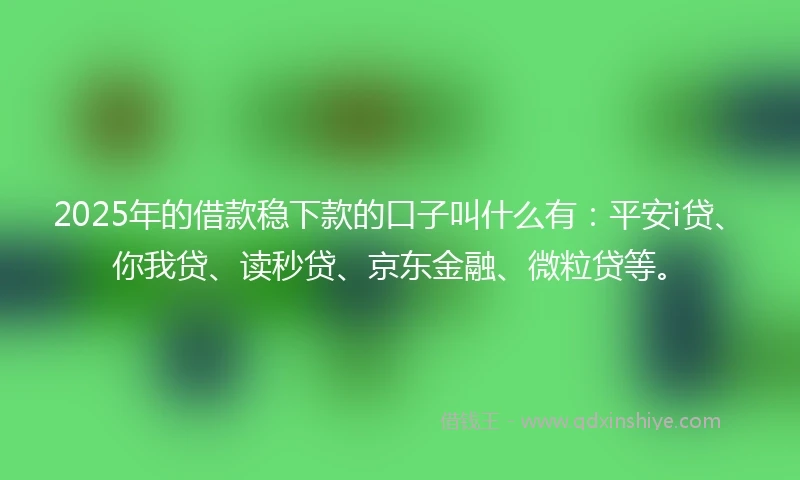 2025年的借款稳下款的口子叫什么有：平安i贷、你我贷、读秒贷、京东金融、微粒贷等。
