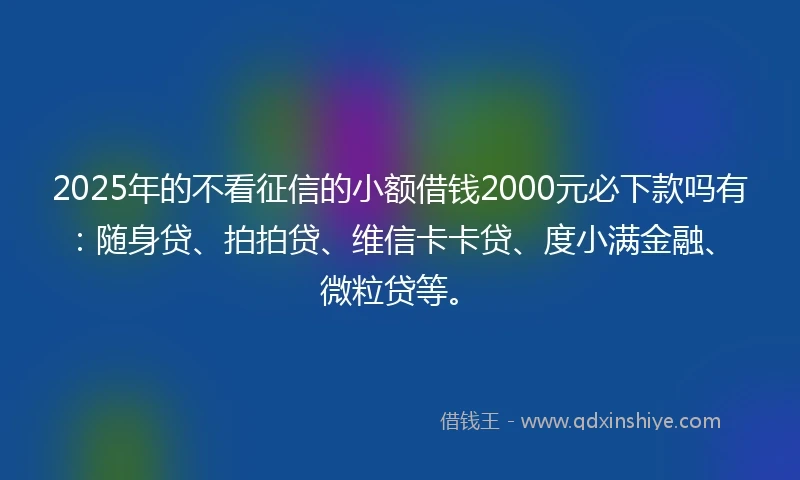 2025年的不看征信的小额借钱2000元必下款吗有：随身贷、拍拍贷、维信卡卡贷、度小满金融、微粒贷等。