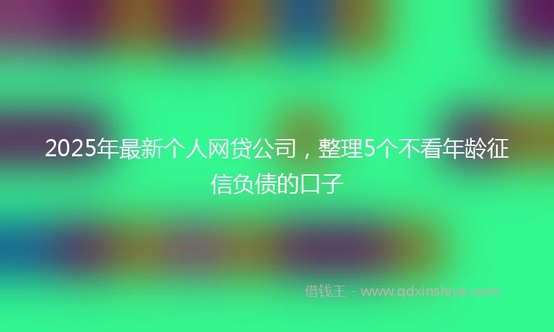 2025年最新个人网贷公司，整理5个不看年龄征信负债的口子