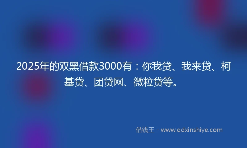 2025年的双黑借款3000有：你我贷、我来贷、柯基贷、团贷网、微粒贷等。