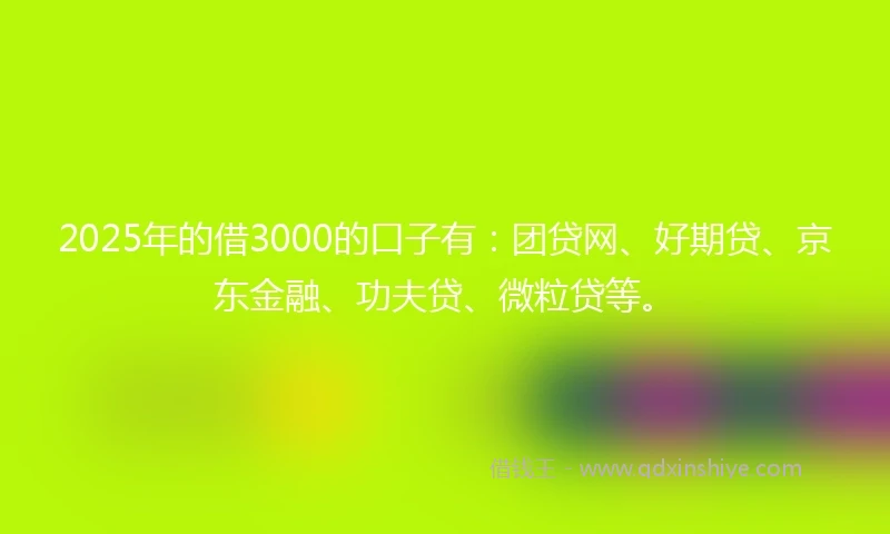 2025年的借3000的口子有：团贷网、好期贷、京东金融、功夫贷、微粒贷等。