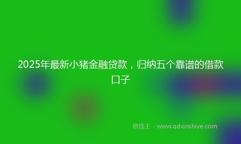 2025年最新小猪金融贷款，归纳五个靠谱的借款口子