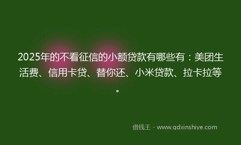 2025年的不看征信的小额贷款有哪些有：美团生活费、信用卡贷、替你还、小米贷款、拉卡拉等。