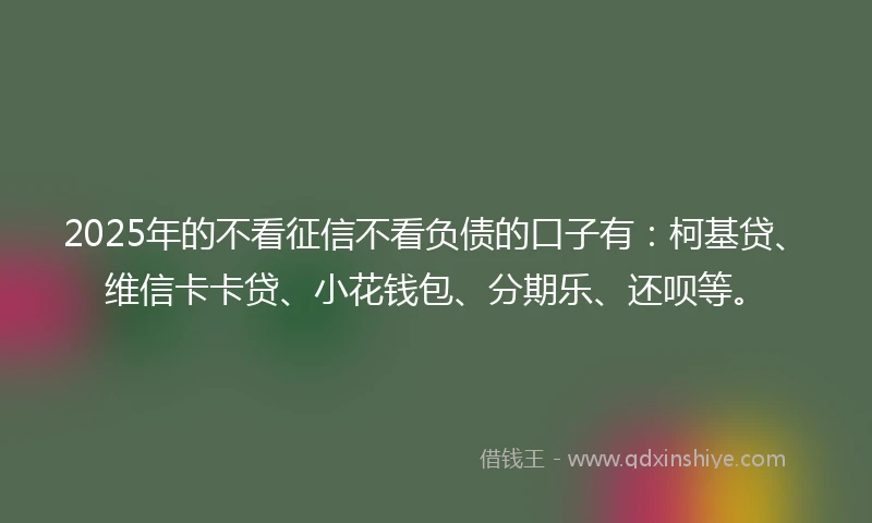 2025年的不看征信不看负债的口子有：柯基贷、维信卡卡贷、小花钱包、分期乐、还呗等。