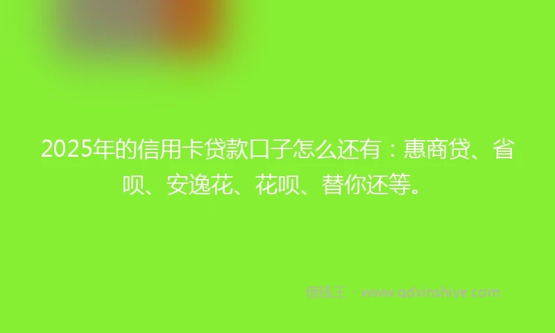 2025年的信用卡贷款口子怎么还有：惠商贷、省呗、安逸花、花呗、替你还等。