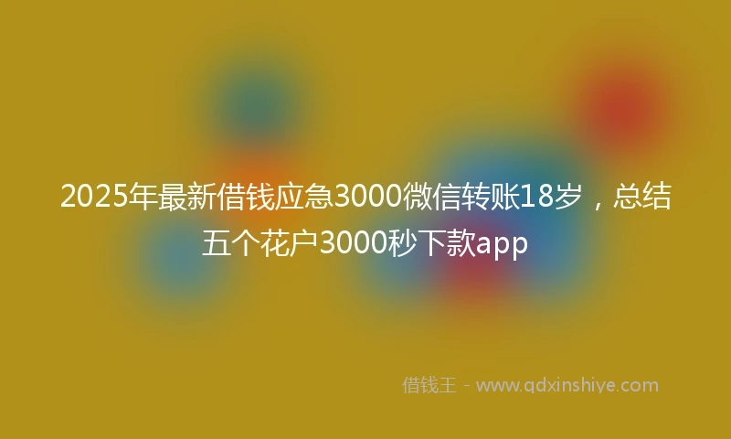 2025年最新借钱应急3000微信转账18岁，总结五个花户3000秒下款app