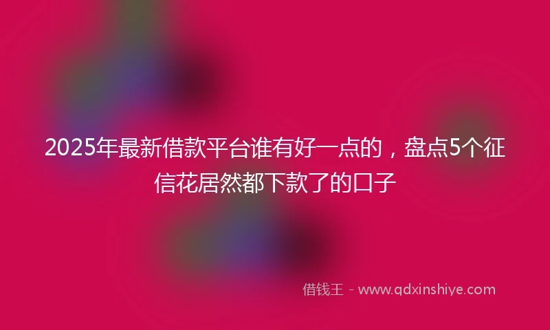 2025年最新借款平台谁有好一点的，盘点5个征信花居然都下款了的口子