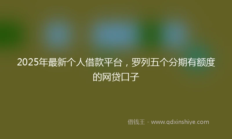 2025年最新个人借款平台，罗列五个分期有额度的网贷口子