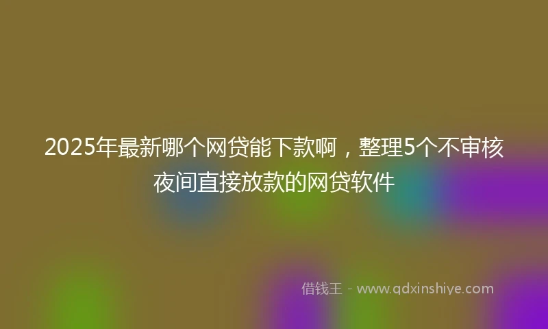2025年最新哪个网贷能下款啊，整理5个不审核夜间直接放款的网贷软件
