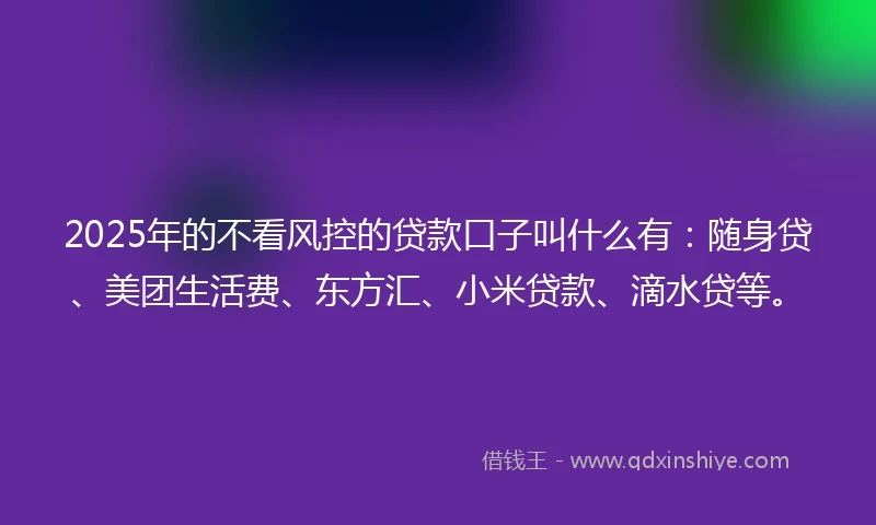 2025年的不看风控的贷款口子叫什么有：随身贷、美团生活费、东方汇、小米贷款、滴水贷等。