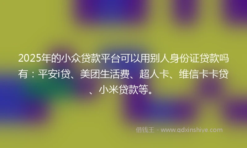 2025年的小众贷款平台可以用别人身份证贷款吗有：平安i贷、美团生活费、超人卡、维信卡卡贷、小米贷款等。