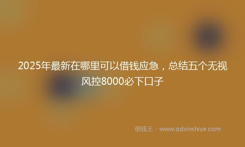 2025年最新在哪里可以借钱应急，总结五个无视风控8000必下口子