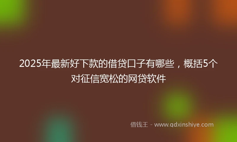 2025年最新好下款的借贷口子有哪些，概括5个对征信宽松的网贷软件