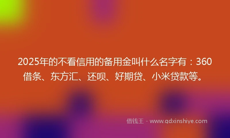 2025年的不看信用的备用金叫什么名字有：360借条、东方汇、还呗、好期贷、小米贷款等。