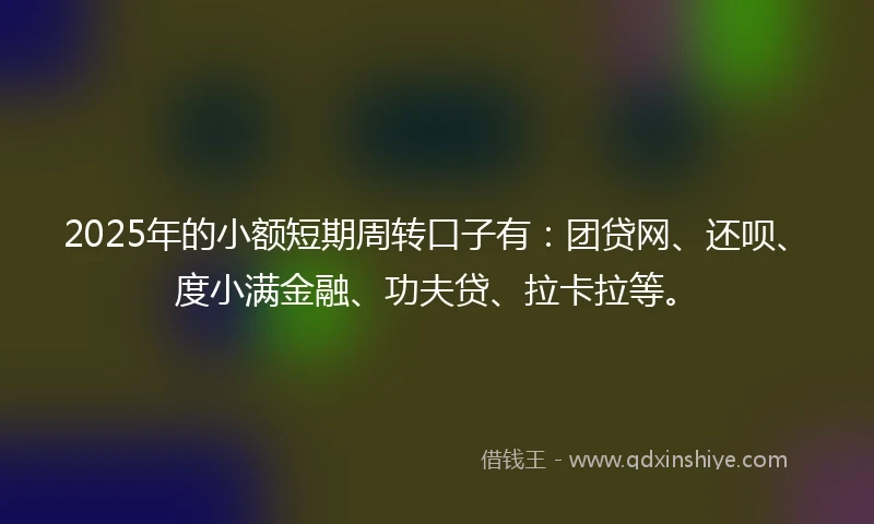 2025年的小额短期周转口子有：团贷网、还呗、度小满金融、功夫贷、拉卡拉等。