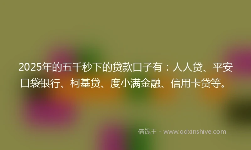 2025年的五千秒下的贷款口子有：人人贷、平安口袋银行、柯基贷、度小满金融、信用卡贷等。