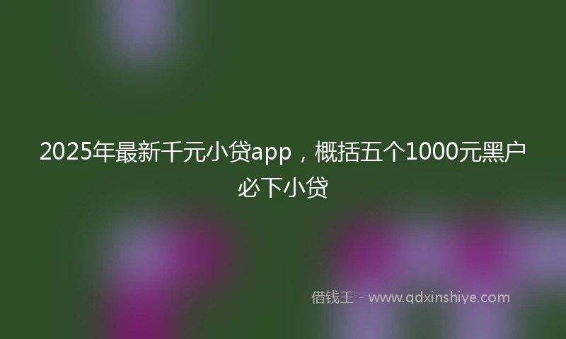 2025年最新千元小贷app，概括五个1000元黑户必下小贷