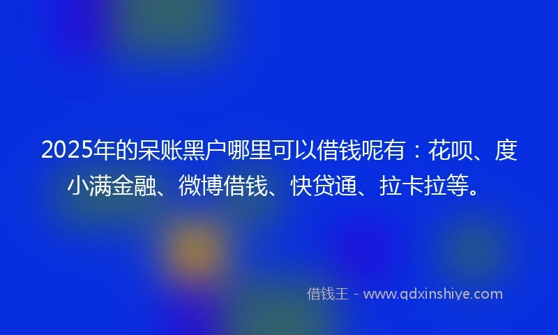 2025年的呆账黑户哪里可以借钱呢有：花呗、度小满金融、微博借钱、快贷通、拉卡拉等。