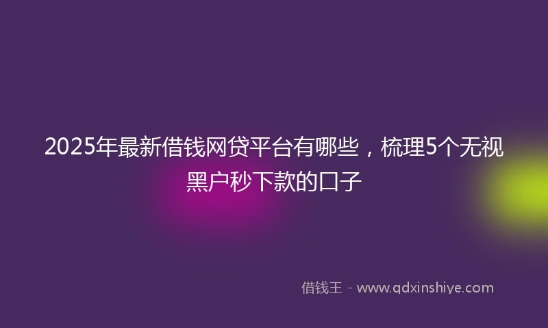 2025年最新借钱网贷平台有哪些，梳理5个无视黑户秒下款的口子