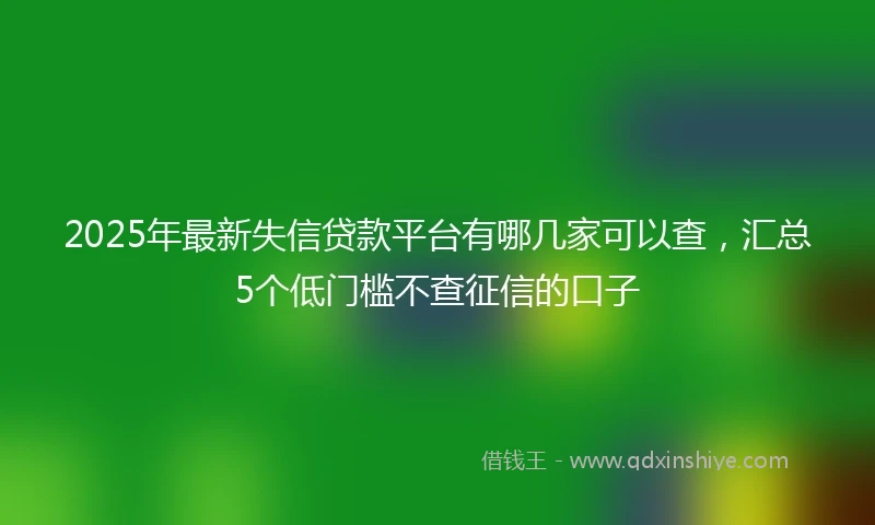2025年最新失信贷款平台有哪几家可以查，汇总5个低门槛不查征信的口子