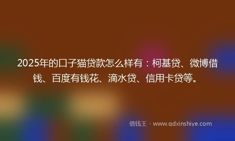 2025年的口子猫贷款怎么样有：柯基贷、微博借钱、百度有钱花、滴水贷、信用卡贷等。