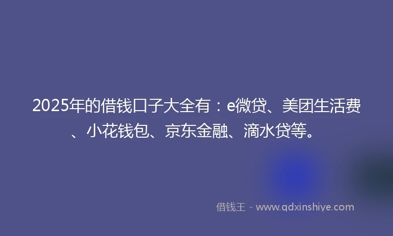 2025年的借钱口子大全有：e微贷、美团生活费、小花钱包、京东金融、滴水贷等。