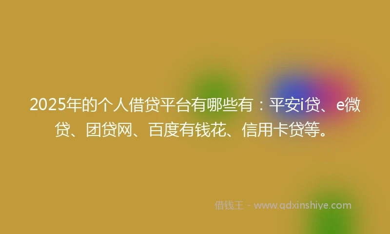 2025年的个人借贷平台有哪些有：平安i贷、e微贷、团贷网、百度有钱花、信用卡贷等。