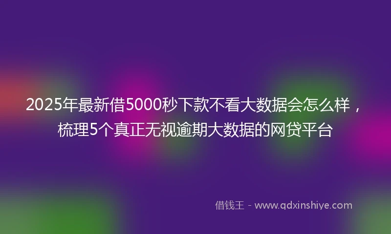 2025年最新借5000秒下款不看大数据会怎么样，梳理5个真正无视逾期大数据的网贷平台