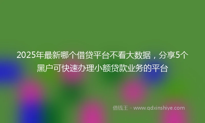 2025年最新哪个借贷平台不看大数据，分享5个黑户可快速办理小额贷款业务的平台