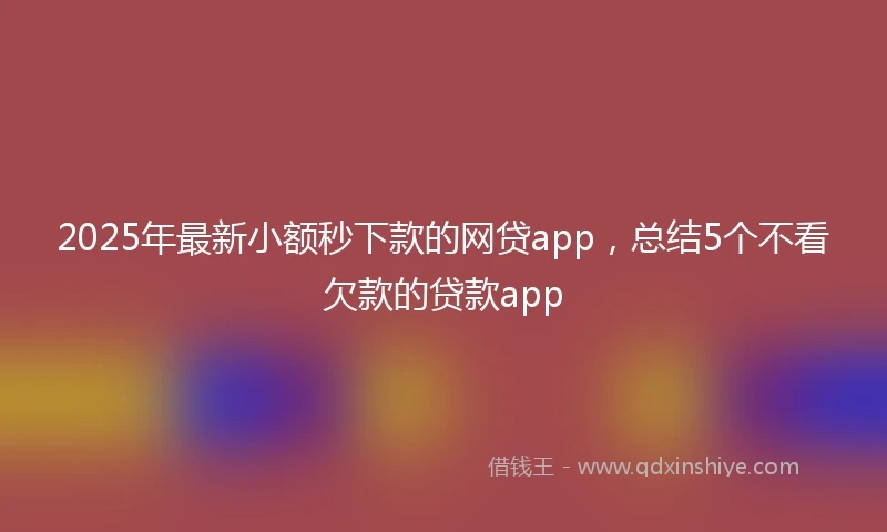 2025年最新小额秒下款的网贷app，总结5个不看欠款的贷款app
