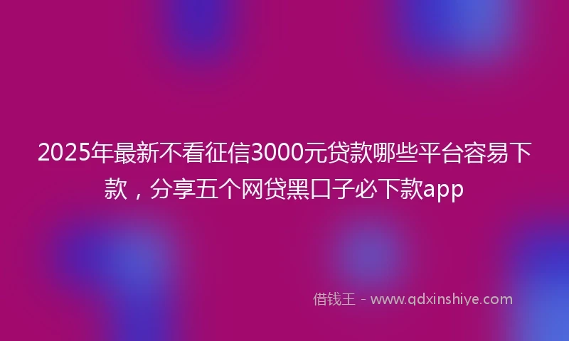2025年最新不看征信3000元贷款哪些平台容易下款，分享五个网贷黑口子必下款app