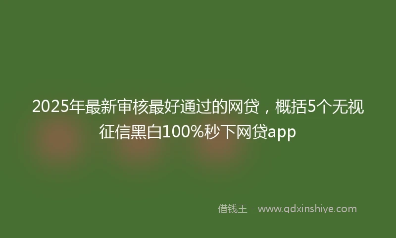 2025年最新审核最好通过的网贷，概括5个无视征信黑白100%秒下网贷app