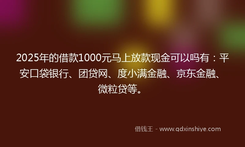 2025年的借款1000元马上放款现金可以吗有：平安口袋银行、团贷网、度小满金融、京东金融、微粒贷等。
