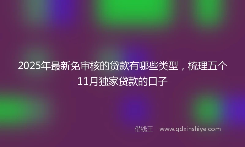 2025年最新免审核的贷款有哪些类型，梳理五个11月独家贷款的口子