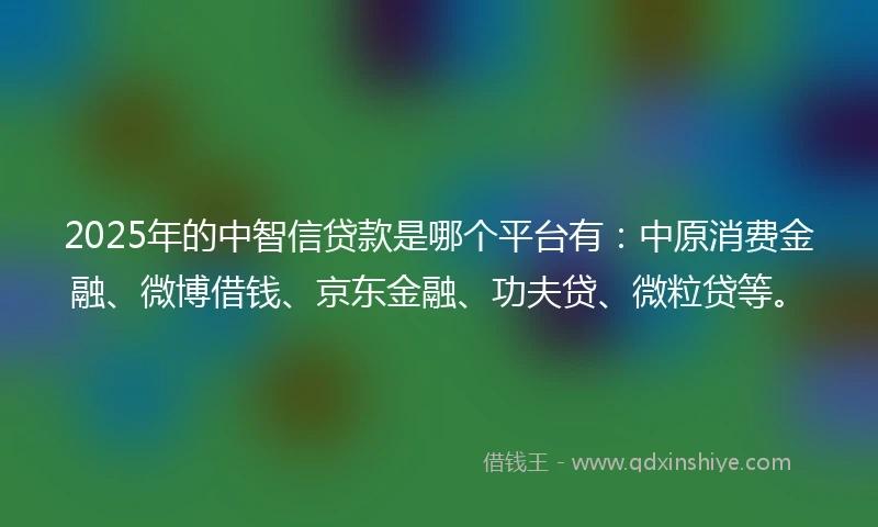 2025年的中智信贷款是哪个平台有：中原消费金融、微博借钱、京东金融、功夫贷、微粒贷等。
