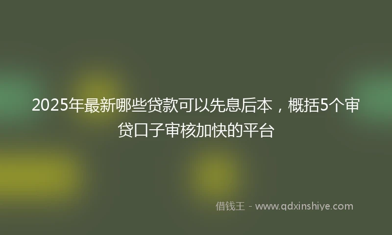 2025年最新哪些贷款可以先息后本，概括5个审贷口子审核加快的平台