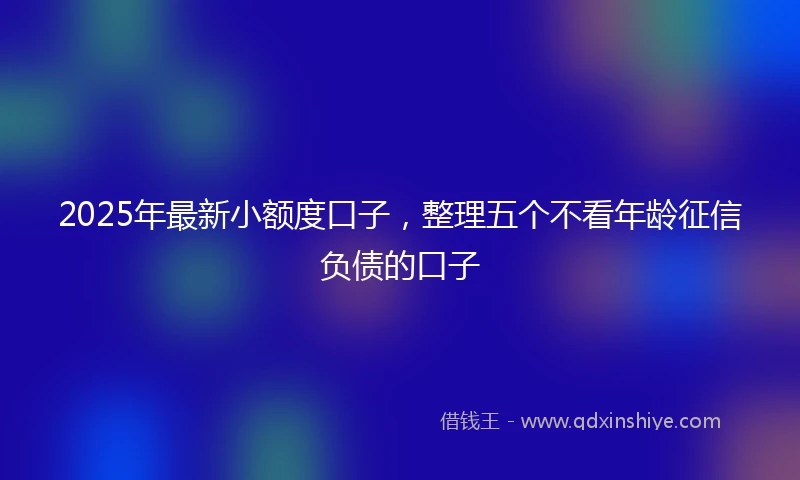 2025年最新小额度口子，整理五个不看年龄征信负债的口子