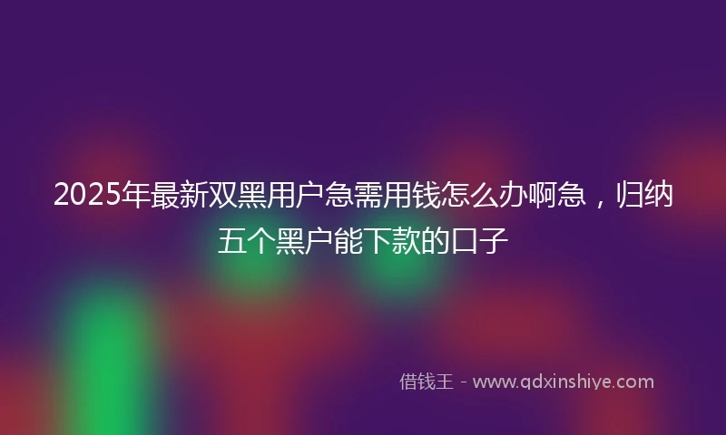 2025年最新双黑用户急需用钱怎么办啊急，归纳五个黑户能下款的口子