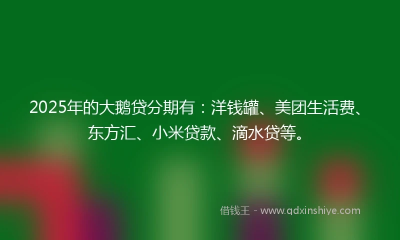 2025年的大鹅贷分期有:洋钱罐、美团生活费、东方汇、小米贷款、滴水贷等。