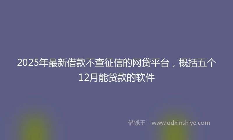 2025年最新借款不查征信的网贷平台，概括五个12月能贷款的软件
