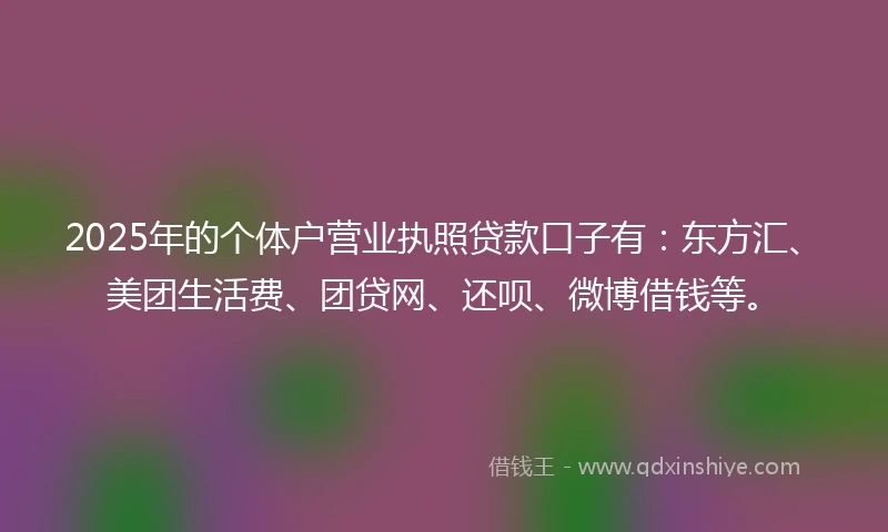 2025年的个体户营业执照贷款口子有：东方汇、美团生活费、团贷网、还呗、微博借钱等。