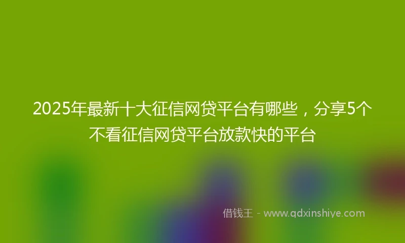 2025年最新十大征信网贷平台有哪些，分享5个不看征信网贷平台放款快的平台