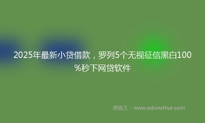 2025年最新小贷借款，罗列5个无视征信黑白100%秒下网贷软件