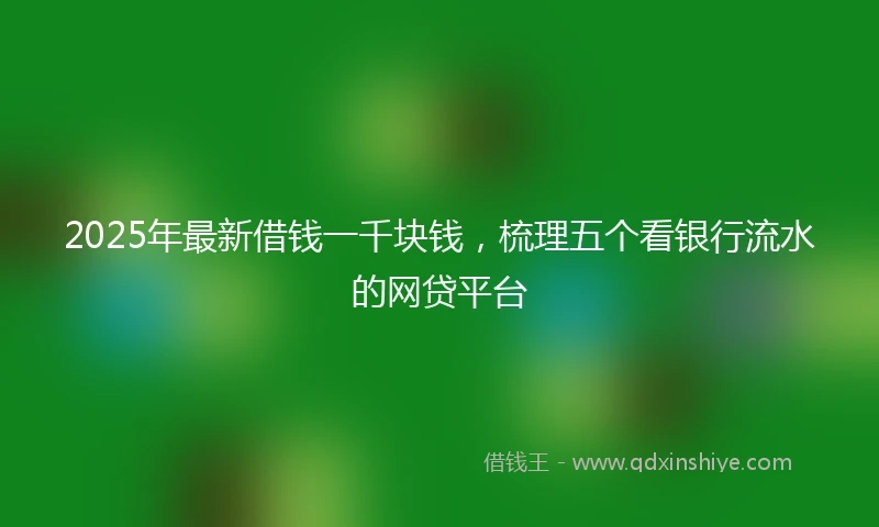2025年最新借钱一千块钱，梳理五个看银行流水的网贷平台