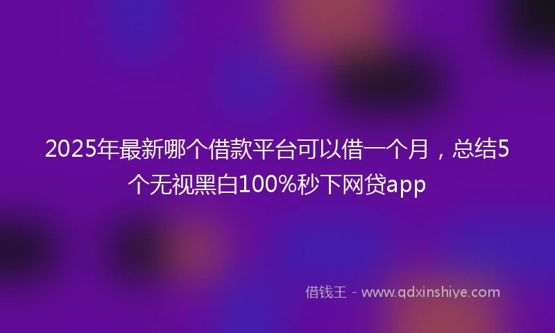 2025年最新哪个借款平台可以借一个月，总结5个无视黑白100%秒下网贷app