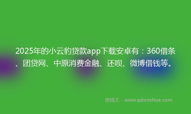 2025年的小云豹贷款app下载安卓有：360借条、团贷网、中原消费金融、还呗、微博借钱等。